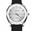 Picture of Javelin DayRunner Silver Classic